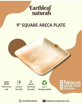9" Square disposable areca plates