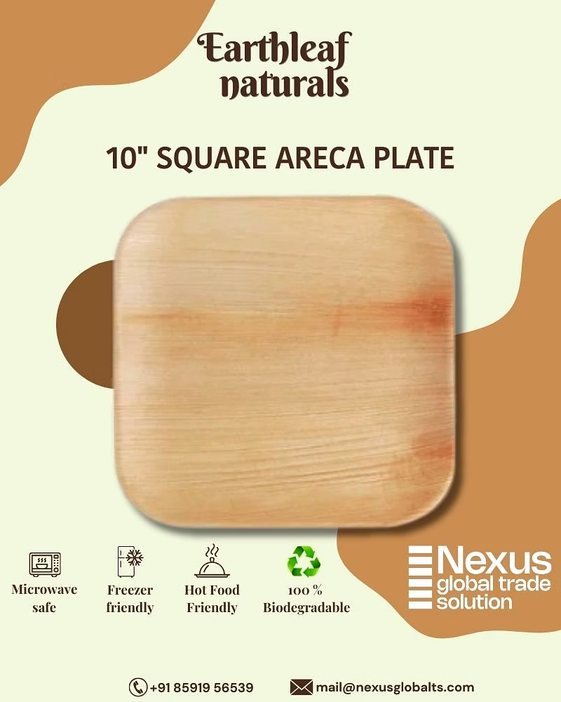 10" square disposable areca plate