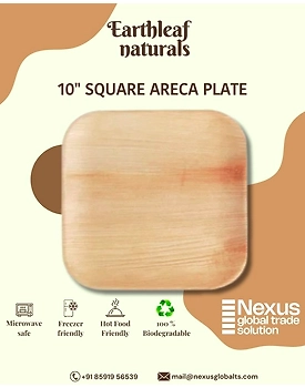 10" Square disposable areca plate