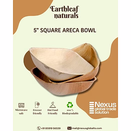 5" square disposable areca bowl