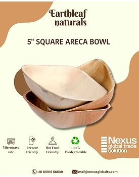 5" Square disposable areca bowl