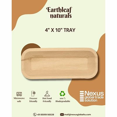 4" x 10" disposable areca tray