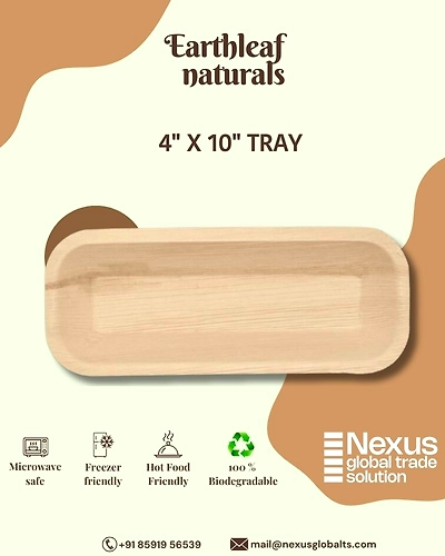 4&quot; x 10&quot; Disposable areca tray-DAT-04-001