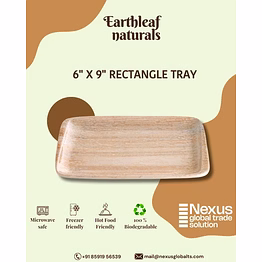 6" x 9" rectangle disposable areca tray