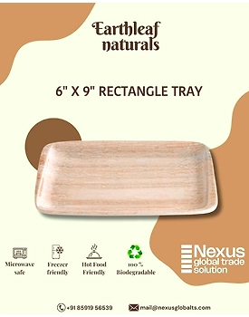 6" x 9" Rectangle disposable areca tray