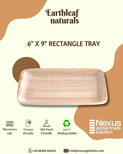 6&quot; x 9&quot; Rectangle disposable areca tray-DAT-06-002