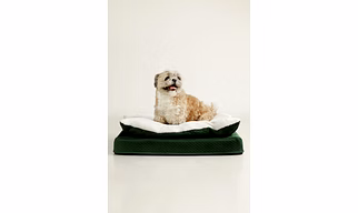 Pillow Top