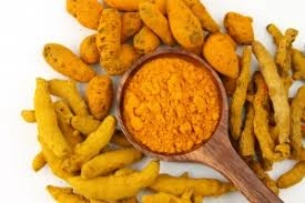 Finger Turmeric-1