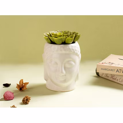 Buddha Shaped Ceramic Planter-12732057