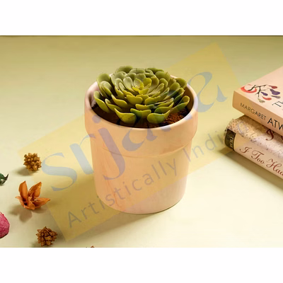 dual tone ceramic planter