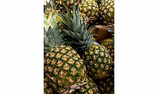 Pineapple