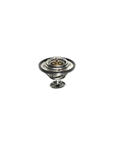 Thermostat 60°-CP-03
