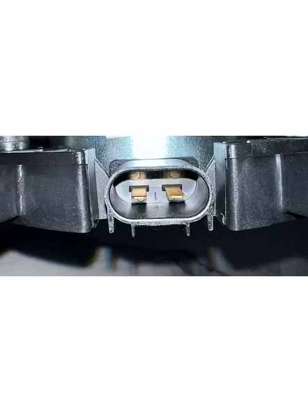 Dinali Dual Fan-3