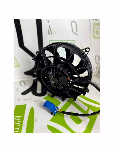 Bagera 10- Inch Fan-3