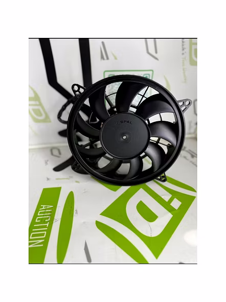 Bagera 10- Inch Fan-F011