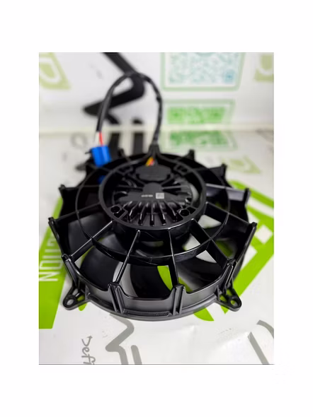 Bagera 10- Inch Fan-2
