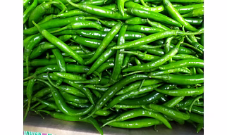 Chilli