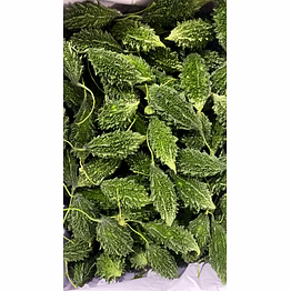 bitter gourd (karela)