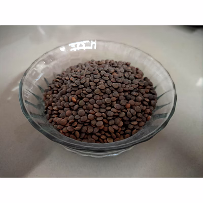 red lentils whole
