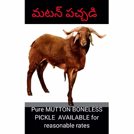 nonveg pickles