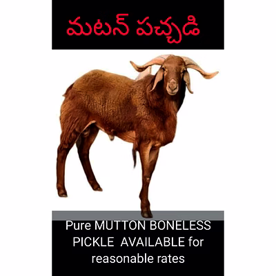 nonveg pickles