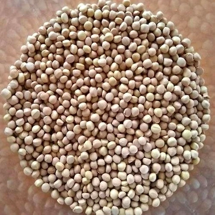 SPECKLE BEIGE Masterbatch-12730503
