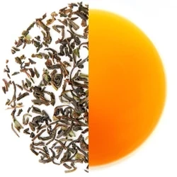 Darjeeling tea leaf-1