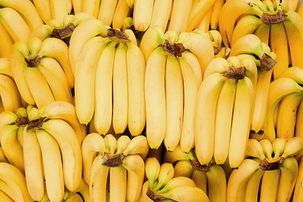 Cavendish bananas-12653593