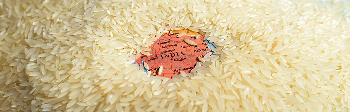 Basmati Rice-4