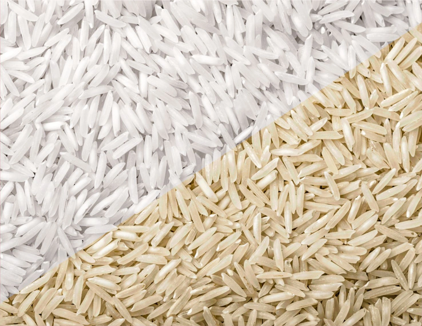 organic Rice-1