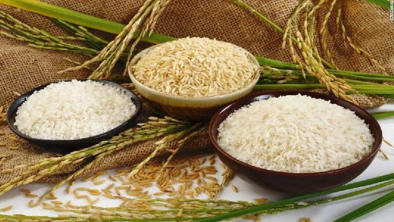 organic Rice-2