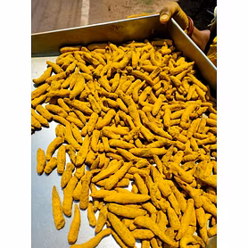 Turmeric Finger (Laka Dong)