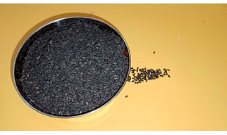 Sesame seeds: A Natural Power House