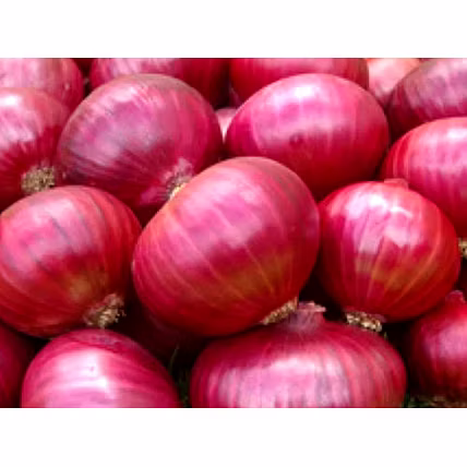 Red onion-12652041