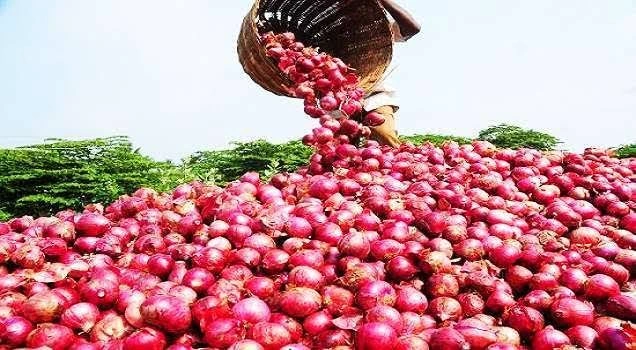 Red onion-2