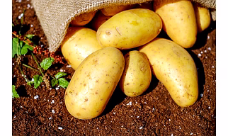 Potatoes