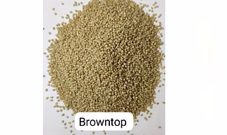 Millets