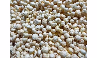 Foxnuts (Makhana)