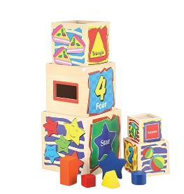 Montessori Shape Sorter Box-ST30