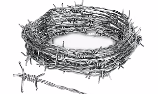 Barbed Wire