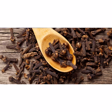 TFSE Ingredients-2