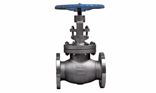 GLOBE VALVE / STEAM STOP VALVE