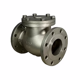 ade check valve / non return valve