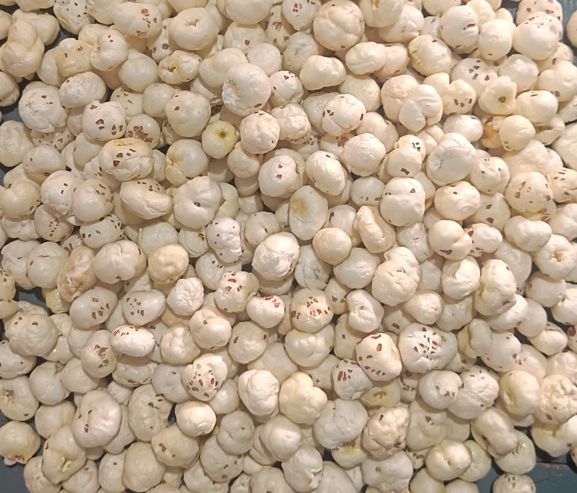 Makhana(Fox nut)-12652413