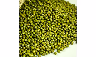 Green gram