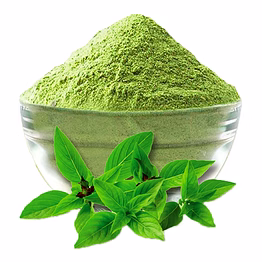 tulsi leaves\powder