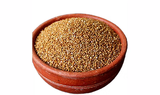 Kudo millets