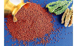 RAGI