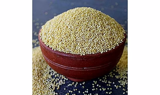 LITTLE MILLETS