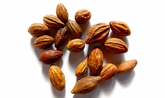 TERMINALIA CHEBULA (HARITAKI)